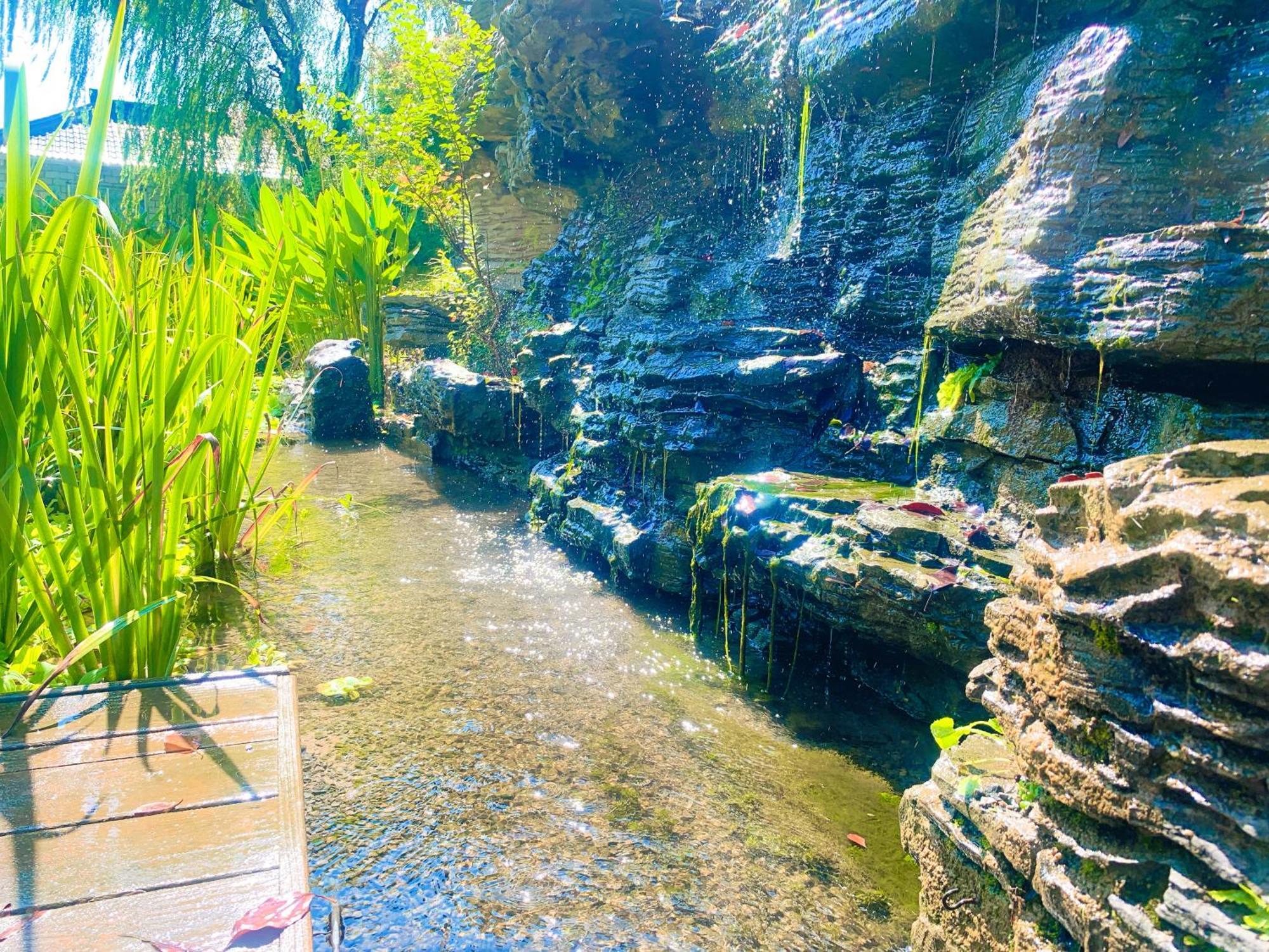 Shushe Hotel شانغهاي المظهر الخارجي الصورة