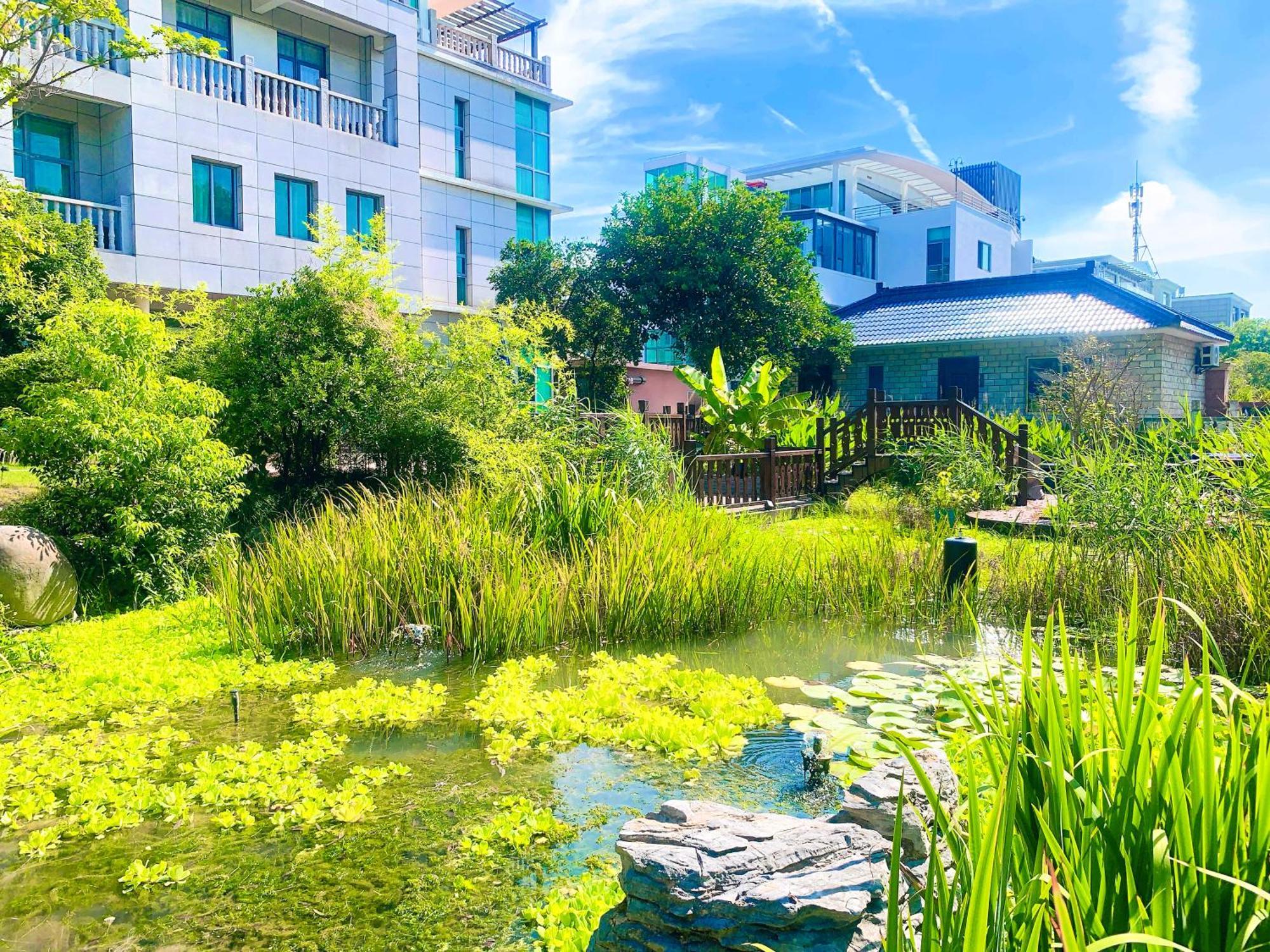 Shushe Hotel شانغهاي المظهر الخارجي الصورة