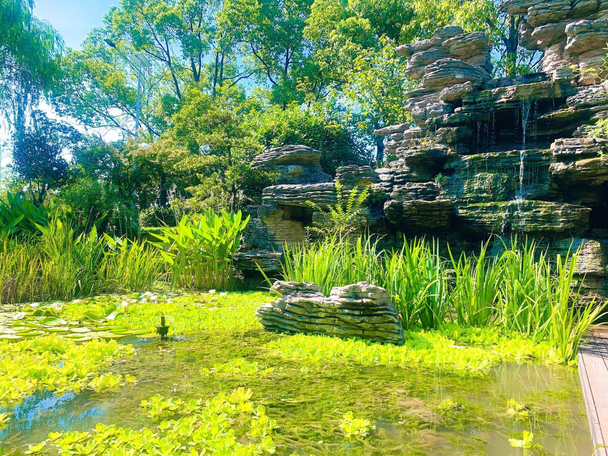 Shushe Hotel شانغهاي المظهر الخارجي الصورة