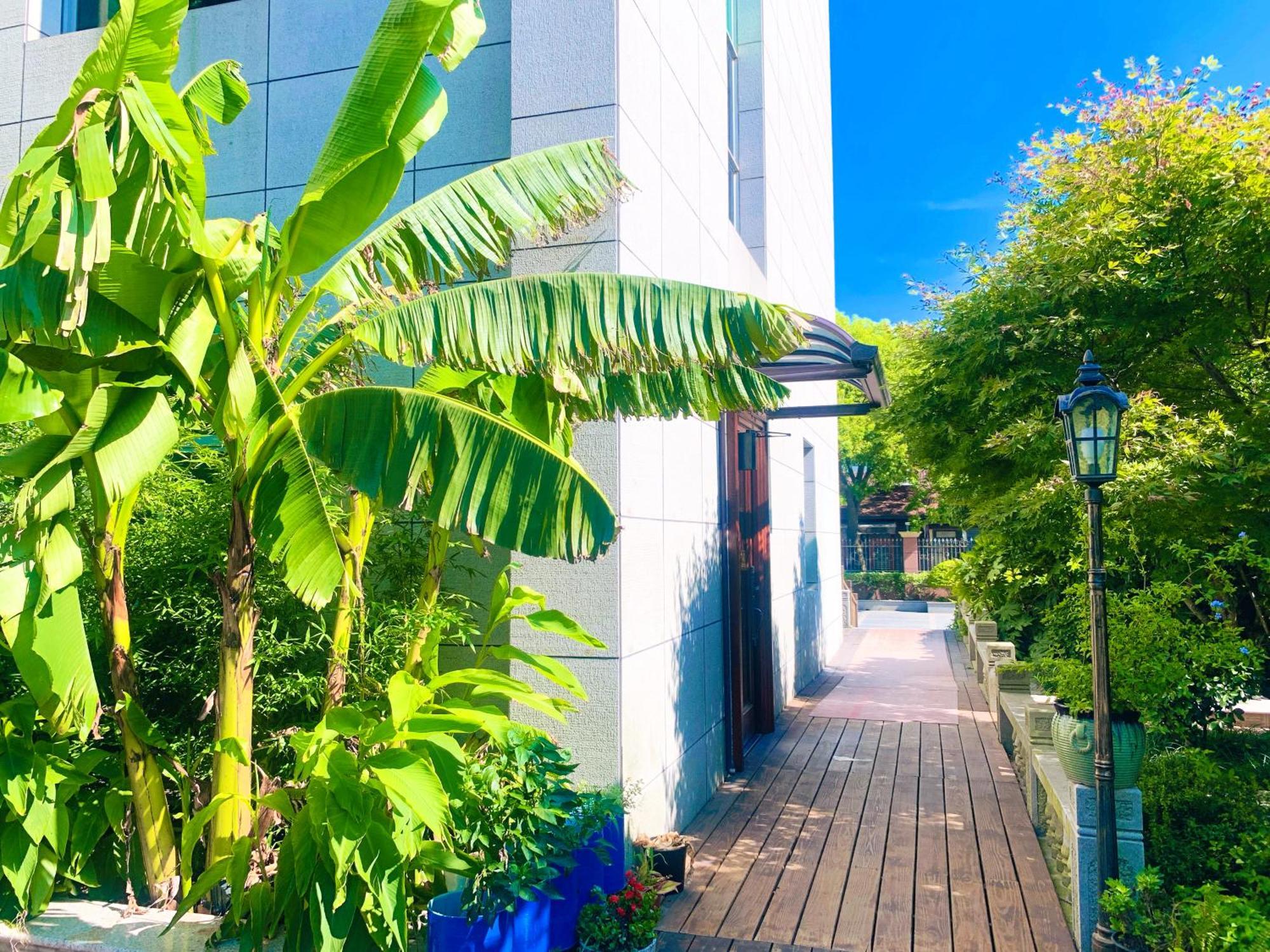 Shushe Hotel شانغهاي المظهر الخارجي الصورة